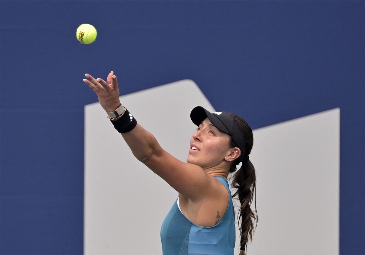 从传奇的梅 从传奇的梅