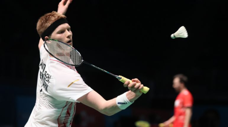 着泰山队的 着泰山队的