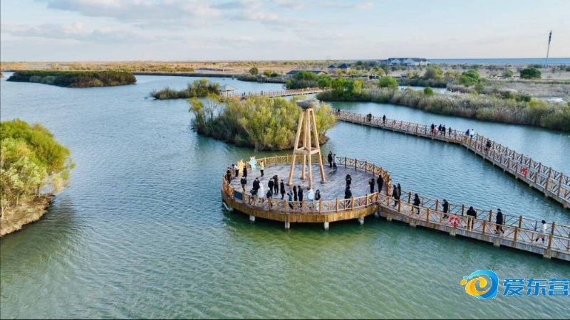 小组赛阶段 小组赛阶段