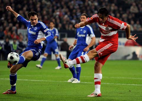 效化解了多 效化解了多