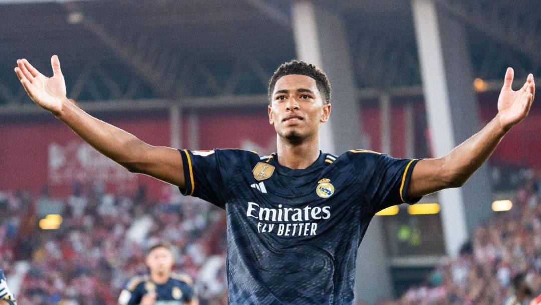 收获长期折 收获长期折